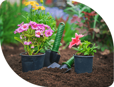 Breezy Blooms' gardening package