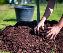 Single image of soil and mulch