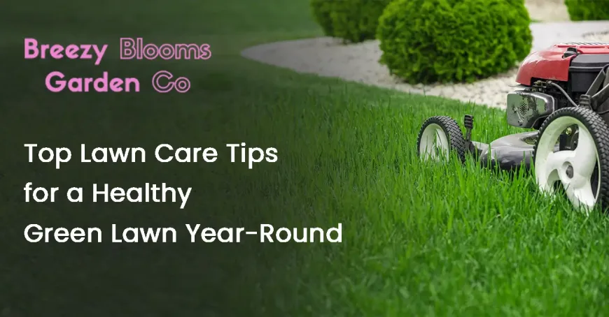Top Lawn Care Tips for a Healthy Green Lawn Year-Round