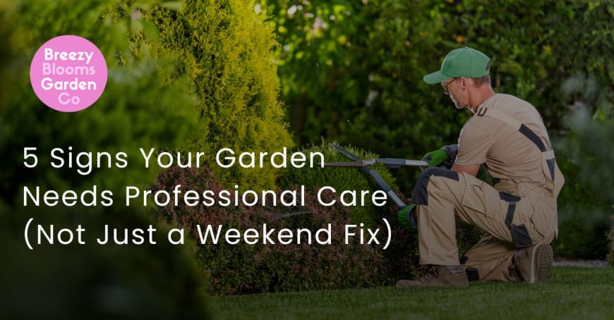 5 Signs Your Garden Needs Professional Care (Not Just a Weekend Fix)