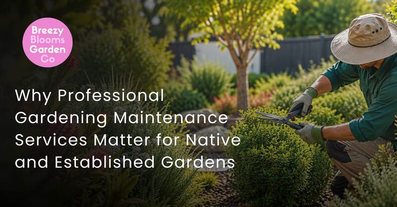 Why Professional Gardening Maintenance Services Matter for Native and Established Gardens