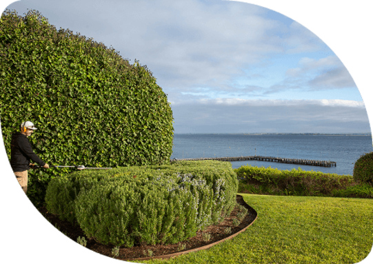 Let’s Give Your Garden Its Best Look Yet