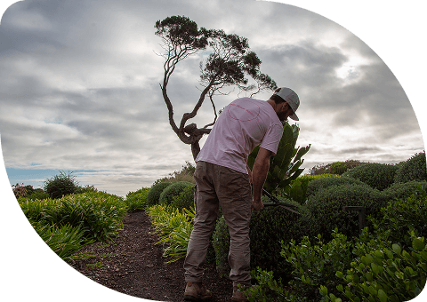 Privacy your home will love
