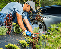 Professional gardeners 