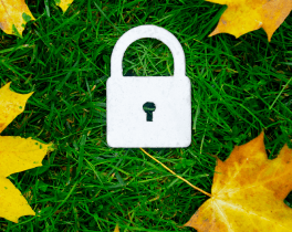 reflected in our staff