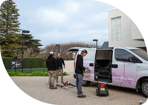 Give Your Garden Its Chance To Bloom