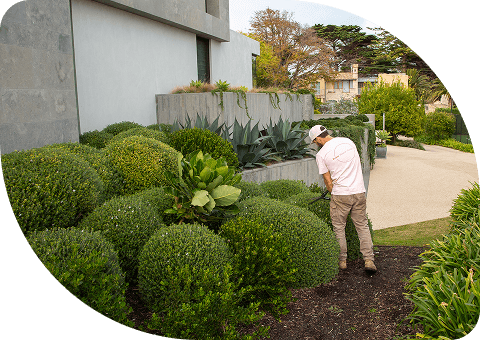 Stress-free Garden Clean-ups For Tidy Gardens